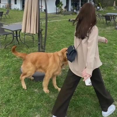 霸王拳
